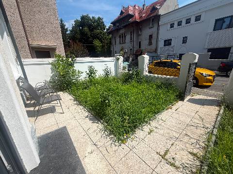Gazon și lavandă