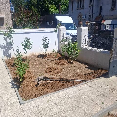 După: Grădină de fațadă — de la buruieni la plantare completă