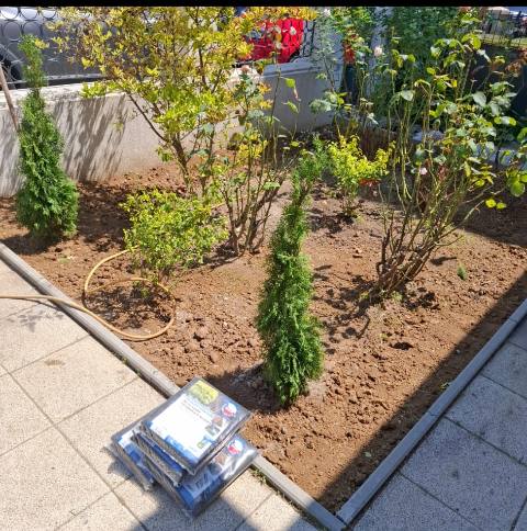 Strat plantat