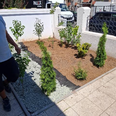 Înainte: Grădină de fațadă — de la buruieni la plantare completă